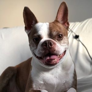 Meet your Posher, Lianna